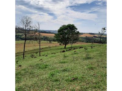 LOTE 000 - FAZENDA DUPLA APTIDAO COM 74 HECTARES