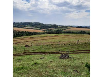 LOTE 000 - FAZENDA DUPLA APTIDAO COM 74 HECTARES
