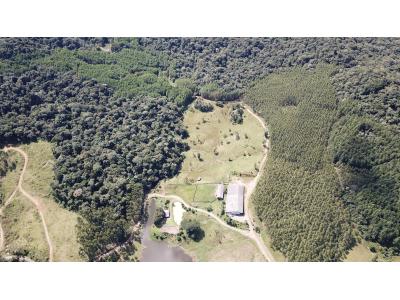 LOTE 000 - FAZENDA COM 607,58 HECTARES ,  REFLORESTAMENTO ( 90% EUCALIPTO) BENEDITO NOVO SC