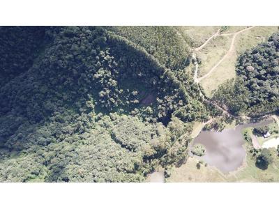 LOTE 000 - FAZENDA COM 607,58 HECTARES ,  REFLORESTAMENTO ( 90% EUCALIPTO) BENEDITO NOVO SC