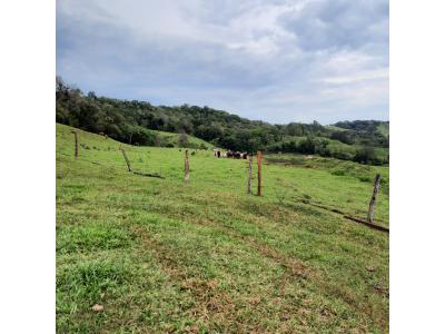 LOTE 000 - FAZENDA DUPLA APTIDAO COM 74 HECTARES