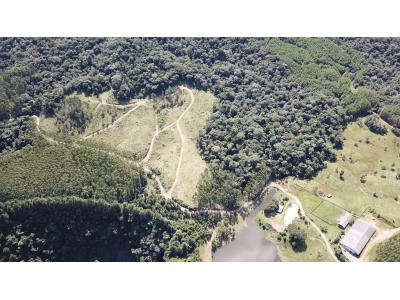 LOTE 000 - FAZENDA COM 607,58 HECTARES ,  REFLORESTAMENTO ( 90% EUCALIPTO) BENEDITO NOVO SC