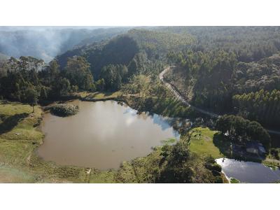LOTE 000 - FAZENDA COM 607,58 HECTARES ,  REFLORESTAMENTO ( 90% EUCALIPTO) BENEDITO NOVO SC