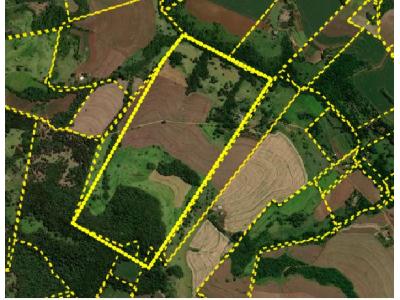 LOTE 000 - FAZENDA DUPLA APTIDAO COM 74 HECTARES
