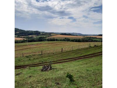 LOTE 000 - FAZENDA DUPLA APTIDAO COM 74 HECTARES