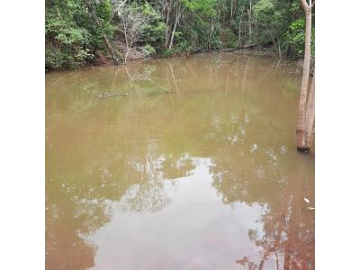 LOTE 000 - FAZENDA DUPLA APTIDAO COM 74 HECTARES