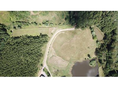 LOTE 000 - FAZENDA COM 607,58 HECTARES ,  REFLORESTAMENTO ( 90% EUCALIPTO) BENEDITO NOVO SC
