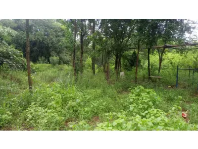LOTE 000 - LOTE RURAL COM 20.000 m2 EM TOLEDO PR ( Distrito Vila Nova)
