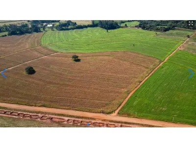 LOTE 000 - LOTE RURAL EM MARINGÁ - PR ESTRADA COLOMBO – IMóVEL RURAL – LOTE DE TERRAS N°38-B, SITUADO NA GLEBA COLOMBO • 6,050 ha  Maringá - PR
