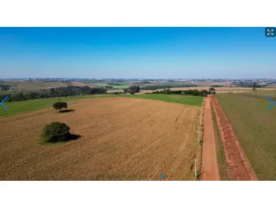 LOTE 000 - LOTE RURAL EM MARINGÁ - PR ESTRADA COLOMBO – IMóVEL RURAL – LOTE DE TERRAS N°38-B, SITUADO NA GLEBA COLOMBO • 6,050 ha  Maringá - PR