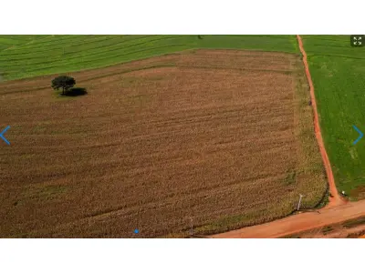 LOTE 000 - LOTE RURAL EM MARINGÁ - PR ESTRADA COLOMBO – IMóVEL RURAL – LOTE DE TERRAS N°38-B, SITUADO NA GLEBA COLOMBO • 6,050 ha  Maringá - PR