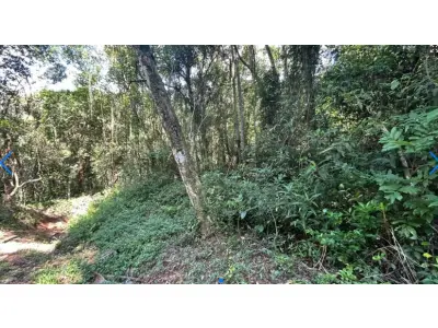 LOTE 000 - TERRENO EM FLORIANÓPOLIS - SC SERTãO, NA TRINDADE, 4º SUBDISTRITO • 30519,38m²  Florianópolis - SC