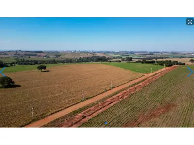 LOTE 000 - LOTE RURAL EM MARINGÁ - PR ESTRADA COLOMBO – IMóVEL RURAL – LOTE DE TERRAS N°38-B, SITUADO NA GLEBA COLOMBO • 6,050 ha  Maringá - PR
