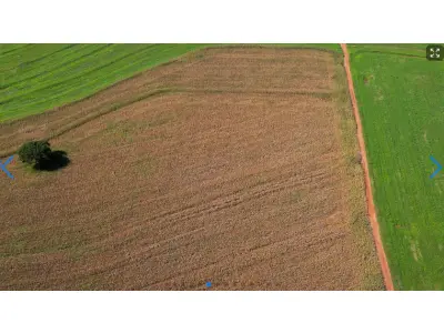 LOTE 000 - LOTE RURAL EM MARINGÁ - PR ESTRADA COLOMBO – IMóVEL RURAL – LOTE DE TERRAS N°38-B, SITUADO NA GLEBA COLOMBO • 6,050 ha  Maringá - PR