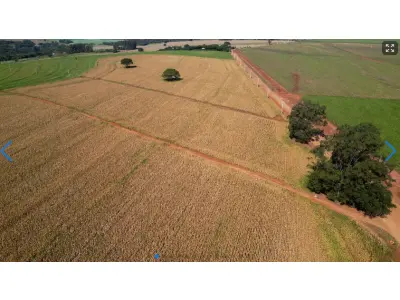LOTE 000 - LOTE RURAL EM MARINGÁ - PR ESTRADA COLOMBO – IMóVEL RURAL – LOTE DE TERRAS N°38-B, SITUADO NA GLEBA COLOMBO • 6,050 ha  Maringá - PR