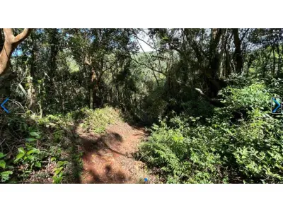 LOTE 000 - TERRENO EM FLORIANÓPOLIS - SC SERTãO, NA TRINDADE, 4º SUBDISTRITO • 30519,38m²  Florianópolis - SC