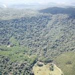 FAZENDA COM 607,58 HECTARES ,  REFLORESTAMENTO ( 90% EUCALIPTO) BENEDITO NOVO SC