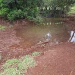 LOTE 000 - FAZENDA DUPLA APTIDAO COM 74 HECTARES