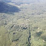 LOTE 000 - FAZENDA COM 607,58 HECTARES ,  REFLORESTAMENTO ( 90% EUCALIPTO) BENEDITO NOVO SC