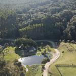 FAZENDA COM 607,58 HECTARES ,  REFLORESTAMENTO ( 90% EUCALIPTO) BENEDITO NOVO SC