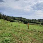 LOTE 000 - FAZENDA DUPLA APTIDAO COM 74 HECTARES