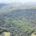 FAZENDA COM 607,58 HECTARES ,  REFLORESTAMENTO ( 90% EUCALIPTO) BENEDITO NOVO SC