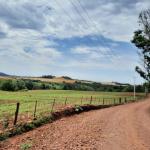 LOTE 000 - FAZENDA DUPLA APTIDAO COM 74 HECTARES