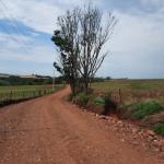 LOTE 000 - FAZENDA DUPLA APTIDAO COM 74 HECTARES