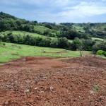 LOTE 000 - FAZENDA DUPLA APTIDAO COM 74 HECTARES