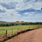 LOTE 000 - FAZENDA DUPLA APTIDAO COM 74 HECTARES