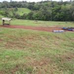 LOTE 000 - FAZENDA DUPLA APTIDAO COM 74 HECTARES