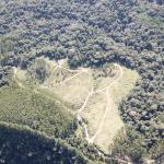LOTE 000 - FAZENDA COM 607,58 HECTARES ,  REFLORESTAMENTO ( 90% EUCALIPTO) BENEDITO NOVO SC
