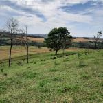 LOTE 000 - FAZENDA DUPLA APTIDAO COM 74 HECTARES