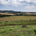 LOTE 000 - FAZENDA DUPLA APTIDAO COM 74 HECTARES