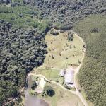 FAZENDA COM 607,58 HECTARES ,  REFLORESTAMENTO ( 90% EUCALIPTO) BENEDITO NOVO SC