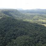 LOTE 000 - FAZENDA COM 607,58 HECTARES ,  REFLORESTAMENTO ( 90% EUCALIPTO) BENEDITO NOVO SC