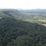 FAZENDA COM 607,58 HECTARES ,  REFLORESTAMENTO ( 90% EUCALIPTO) BENEDITO NOVO SC