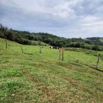 LOTE 000 - FAZENDA DUPLA APTIDAO COM 74 HECTARES