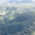 LOTE 000 - FAZENDA COM 607,58 HECTARES ,  REFLORESTAMENTO ( 90% EUCALIPTO) BENEDITO NOVO SC