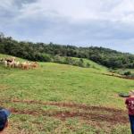LOTE 000 - FAZENDA DUPLA APTIDAO COM 74 HECTARES