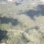 LOTE 000 - FAZENDA COM 607,58 HECTARES ,  REFLORESTAMENTO ( 90% EUCALIPTO) BENEDITO NOVO SC