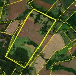 LOTE 000 - FAZENDA DUPLA APTIDAO COM 74 HECTARES