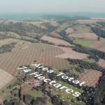 LOTE 000 - FAZENDA DUPLA APTIDAO COM 74 HECTARES
