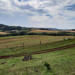 LOTE 000 - FAZENDA DUPLA APTIDAO COM 74 HECTARES