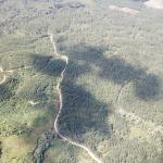 LOTE 000 - FAZENDA COM 607,58 HECTARES ,  REFLORESTAMENTO ( 90% EUCALIPTO) BENEDITO NOVO SC