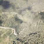 LOTE 000 - FAZENDA COM 607,58 HECTARES ,  REFLORESTAMENTO ( 90% EUCALIPTO) BENEDITO NOVO SC