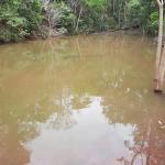 LOTE 000 - FAZENDA DUPLA APTIDAO COM 74 HECTARES