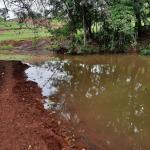 LOTE 000 - FAZENDA DUPLA APTIDAO COM 74 HECTARES