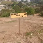 LOTE 000 - TERRENO DE 871,20 M2 em PONTA GROSSA - PR (AVENIDA MELVIN JONES 1064)