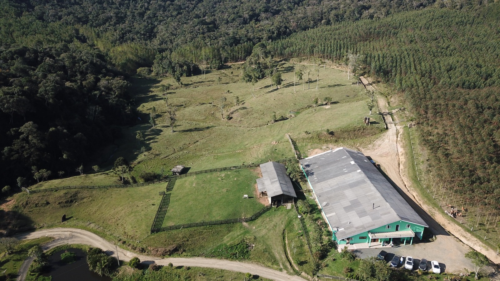 FAZENDA COM 607,58 HECTARES  ( REFLORESTAMENTO EUCALIPTO) em BENDEDITO NOVO -SC